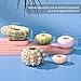 6PCS Hanging Air Plants Holders/Stand Mini Sea Urchin Shell Decorative Tillandsiat Succulent Air Plant Display Container for Home Office Wall Garden Beach Hawaii Theme Party Favors
