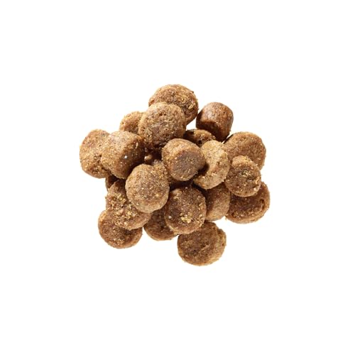 defu Hundefutter | 1 x 800 g | Junior Bio Geflügel | Premium Bio Trockenfutter für Junge Hunde
