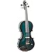 Barcus Berry, 4-String Violin (BAR-AEG)