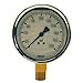 Dixon Valve GLBR100, 0-100 PSI Brass Liquid Filled Gauge Lower Mount (Pack of 3 pcs)