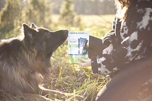 Skin And Coat Omega Supplement For Dogs, Omega 3 And 6 For Healthy Skin And Shiny Coat, 120 Soft Chews, Bacon Flavored Treats, Protects Against Itchy And Dry Skin, Fortifies And Strengthens Coat (120) #TOP4