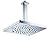 Jewel Shower Series Square Ceiling Mount Anti Lime Shower Head with Cast Brass Shower Arm Finish: Brushed Nickel