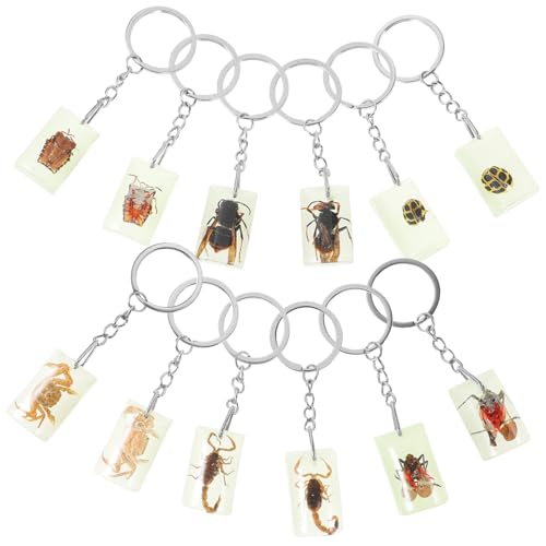 DEARMAMY Insect Specimen Keychain Keyring Boys and Girls Creative Pendant Bag Hanging Decor Keychain Set Style