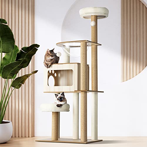 cat trees