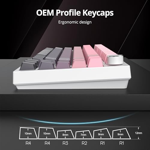 Image of PBT Gradient Pink Keycaps, Shine Through Cherry Profile Keycaps, Double Shot Custom Minimalist Style for MX Switched Mechanical Keyboard