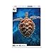 Produktbild Ambassador 7230026 Meeresschildkröte, 1000 Teile Puzzle für Erwaschene und Kinder ab 10 Jahren, WWF Tierpuzzle, Schildkröte