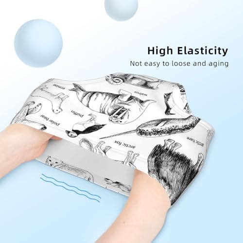 Monochrome Hand Drawn Arctic Animals Girls' Underwear Soft Cotton Little Girls Panties Comfort Briefs4