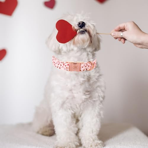 Collier pour chien de Saint-Valentin ajustable et mignon pour grand toutou