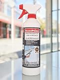 CleanPrince Giardino d'inverno e Baldacchino Detergente per vetri 500 ml: pulizia Pioggia strip Nicotina Depositi Vetro superfici lisce Fronti Finestra negozio Baldacchini Detergente per vetri