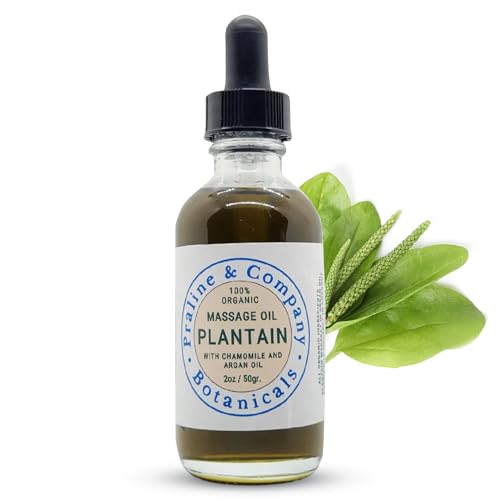 Plantain Massage Oil for Deep Relaxation and Wellness - Body Massage Oil with 100% Organic & Natural Ingredients - Handcrafted Body Oil with Plantain Leaves, Argan Oil & Chamomile - 2oz