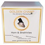 Golden Champ - Goldrichtig