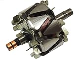 AS-PL AR0059 Alternator Rotors/Alternator Rotors