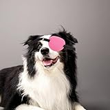 Happyyami Augenklappe Für Hunde Verstellbare Weiche Augenabdeckung Nach Op Schutz Vor Schmutz Und Wind Leicht Zu Reinigen Für Verschiedene Hunderassen