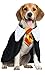FIESTAS GUIRCA Zauber Schüler Hunde Kostüm - Magier Hund – Halloween Hundekostüm - L