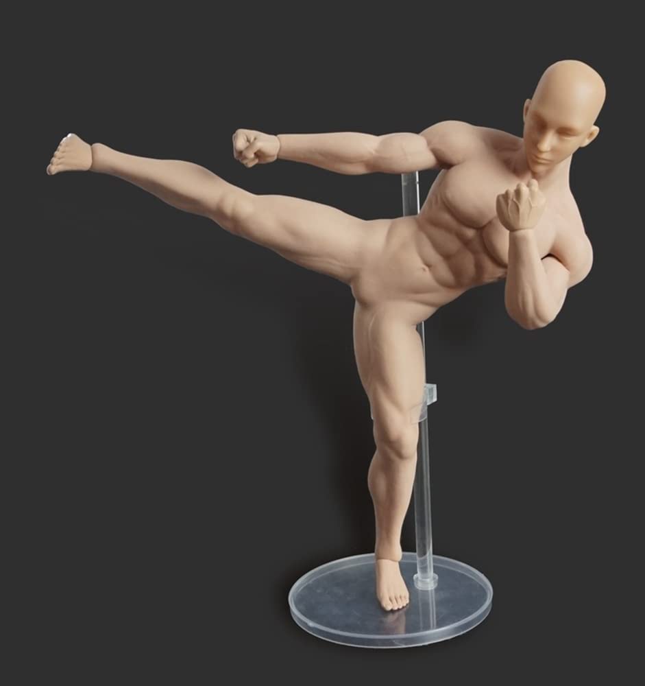 Amazon | 1/6 男性 シームレス フィギュア ボディ超可動 素体 (M30