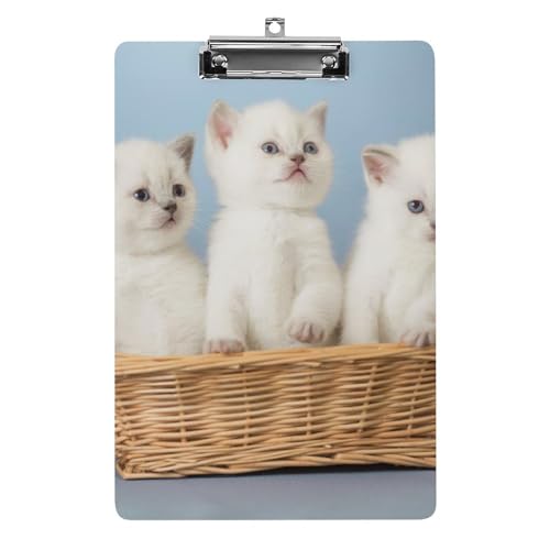 Planchettes à pince A4 chaton porte bloc rigide avec clip profil bas