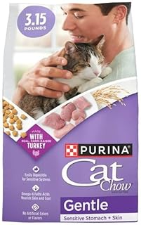 Gentle, Turkey Dry Cat Food for Sensitive Stomachs