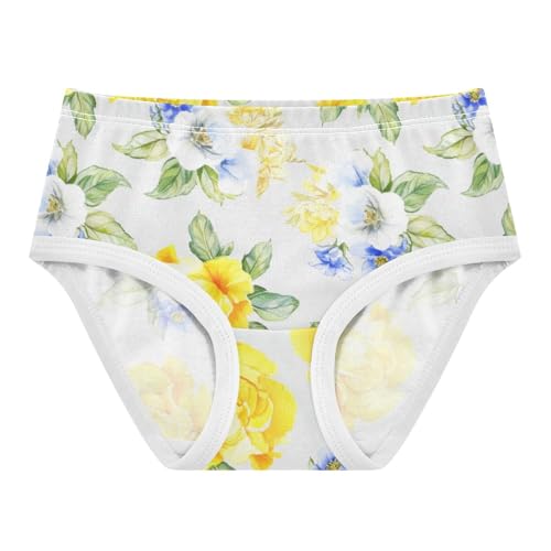 Joisal Floral Bouquets Yellow Blue Toddler Underwear Floral 2t Cotton Little Girl Panties Fun Briefs Girls Undies
