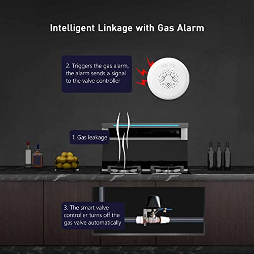 Vanne d'eau intelligente Wi-Fi interrupteur levier pour couper l'eau à distance - 8