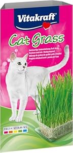 Vitakraft Katzen Gras Set, Cat Grass