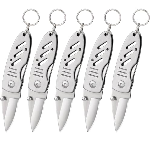 Image of BARRYSAIL Gift for Dad Mini Keychain Knife, Small Folding Pocket Knife with Liner Lock, 1.6 Inch Blade, Perfect Edc Tool for Women Teens (5 Pack)
