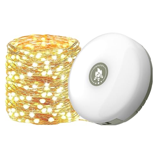 キャンプ用ストリングライト - LED キャンプ用ストリングライト & ランタン | 2 in 1 ポータブルキャンプライト |多機能防水アウトドアキャンプライト、キャンプ庭ハイキング用USB充電式テントストリングライト