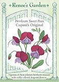 Sweet Pea - Cupani Seeds