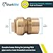 SharkBite 1 x 1 Inch FNPT Adapter, Push To Connect Brass Plumbing Fitting, PEX Pipe, Copper, CPVC, PE-RT, HDPE, U094LFA
