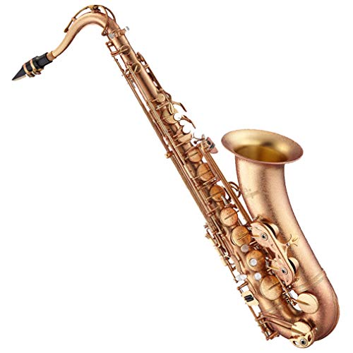 【美品】【ネビュラ】アンティグア　ネビュラ　パワーベル　アルトサックス　sax 美品】【ネビュラ】アンティグア ネビュラ パワーベル アルト