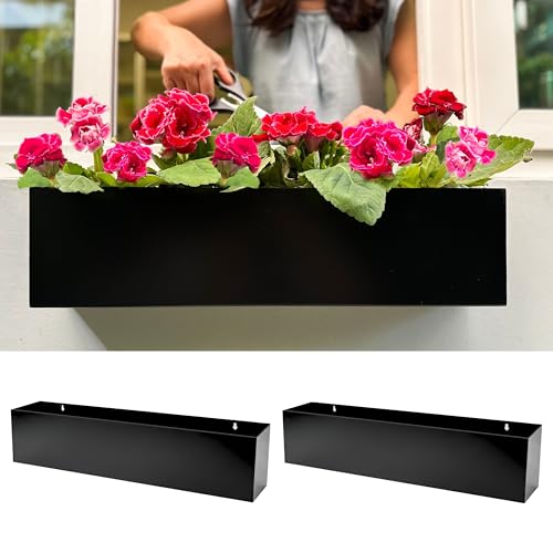 LaLaGreen Wall Planter 2-Pack