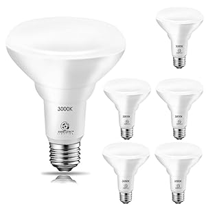 Energetic 6 Pack 65W BR30 LED Recessed Light Bulb, Dimmable, 650 Lumens, Warm White 3000K, CRI 90+, E26 Base, Indoor Flood Light for 5/6 Inches Cans, UL Listed