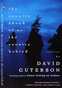 Vintage Contemporaries Book 225 image