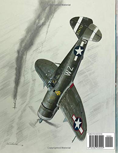 P-47 Thunderbolt Illustrated (The Illustrated Series of Military Aircraft)