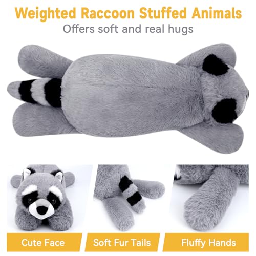 Slojkardon Weighted Stuffed Animal, Cute Raccoon Plush Toys by Slojkardon - Used condition - Image 2