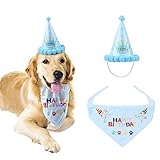 teepao reloj Gorro de cumpleaños ajustable para perros: diadema ajustable es elástica para adaptarse a más mascotas, diseño elegante o apliques que seguramente harán de tu peludo amigo el centro de atención en ese día especial.