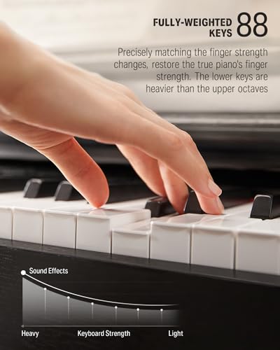 Donner DDP-100 88-Key Weighted Action Digital Piano with Piano Bench, Beginner Bundle with Furniture Stand, Power Adapter, Triple Pedals, MP3 Function, Black - image 3