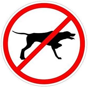 (3) No Bird Dogs Black Union Stitch Funny Hard Hat/Helmet Vinyl Decal Sticker