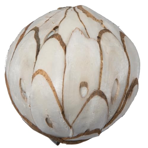 Plantes séchées boules de copeaux marron naturel pour décoration table