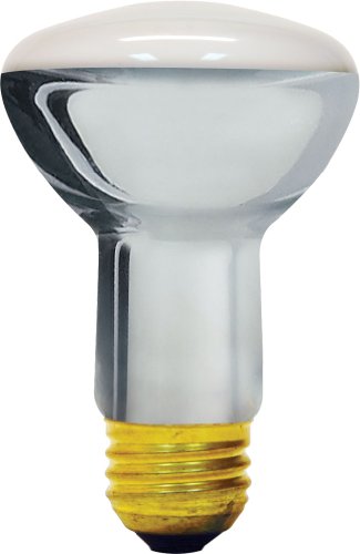 GE 74204 Energy Saving Halogen 45-Watt Indoor Floodlight R20 Bulb