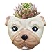 Cuteforyou Cute Animal Shaped Cartoon Home Decoration Succulent Vase Flower Pots