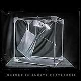 The Arbitrariness of the Sign (feat. João Clemente, Duarte Fonseca, Ricardo Sousa & Nuno Santos Dias)