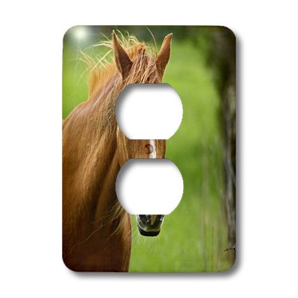Prise de courant Cheval décorative pour cacher les imperfections murales - 2