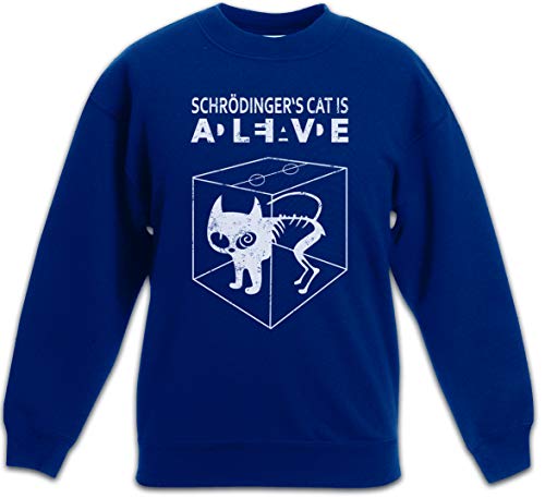 Pullover Schrödinger's Cat, cadeau original pour anniversaire enfant