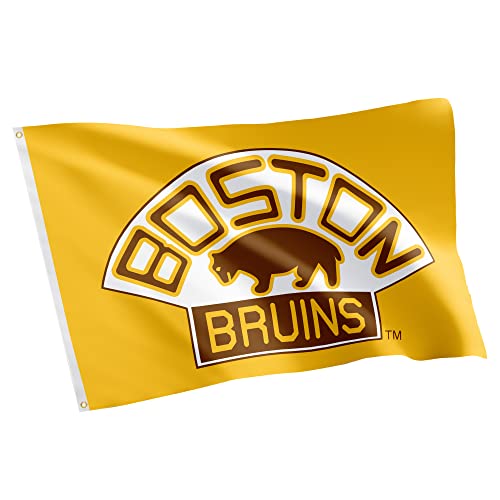 Desert Cactus Boston Bruins Black Gold Flag 3x5 Outdoor (Vintage #3)