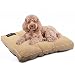 Petaccom-petking Cama para Perro Grande - Colchón para Mascotas Extraíble y Lavable Cojín Perro Suave y Antideslizante, Beige, L, 98 x 68 x 15 cm