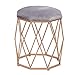 LIYIN-stool Moderner Runder Schminktisch-Hocker Mit Goldmetallrahmen-Samt-weichem Sitzkissen-Schemel-Rest-Make-uphocker Für Schlafzimmer-Wohnzimmer