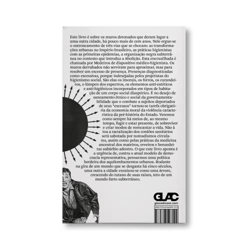 História da experiência das epidemias no Brasil: Volume 1