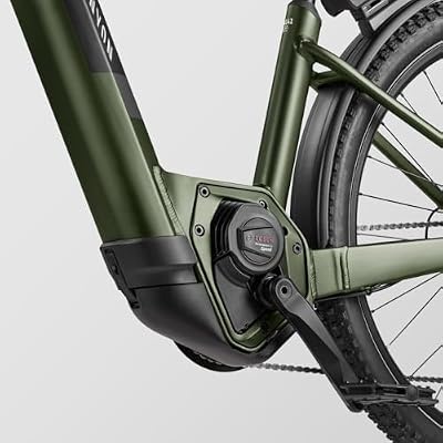 Canyon Pathlite:ON 7 Step-Through