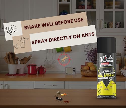 Image of Amish Aerosol All In One Insect Repellent Spray 200ml Pack Of 1 | nsect Control Spray |For Ant, Cockroach, Rat, Lizard, Bed Bugs, Spider, Fly, Centipede, Mouse, Bed Bugs 100% Natural