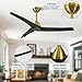 Morkefan 54 Inch Modern Ceiling Fan No Lights,Wood Ceiling Fan without Light,6-Speed,Reversible DC Motor,Timer,Outdoor with Remote for Bedroom Living Room Patios,Black and Gold